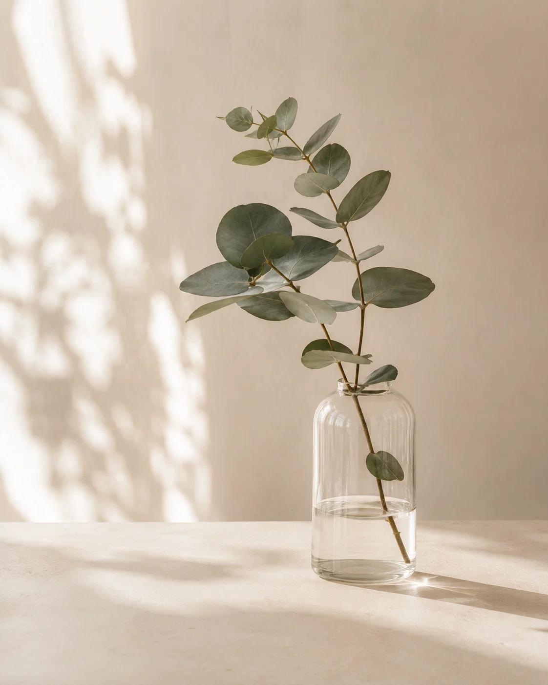 Eucalyptus sprig in a glass vase on a warm cream surface, soft natural light